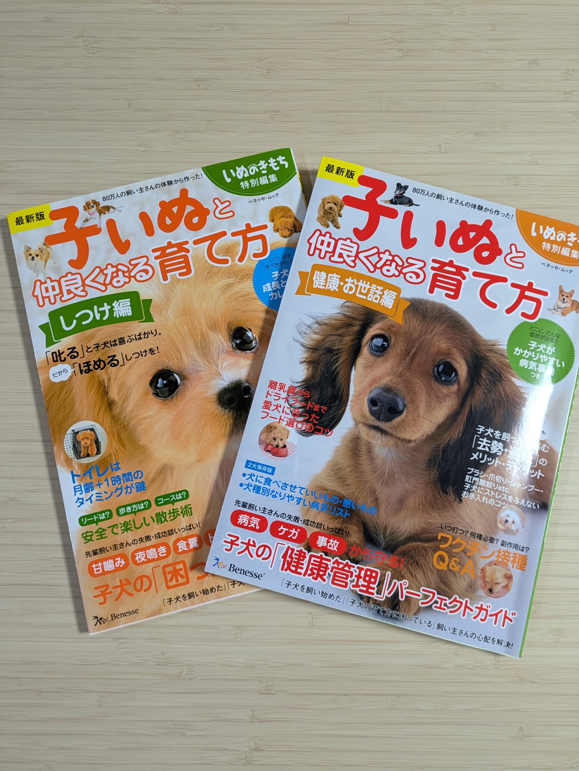 子いぬと仲良くなる育てか